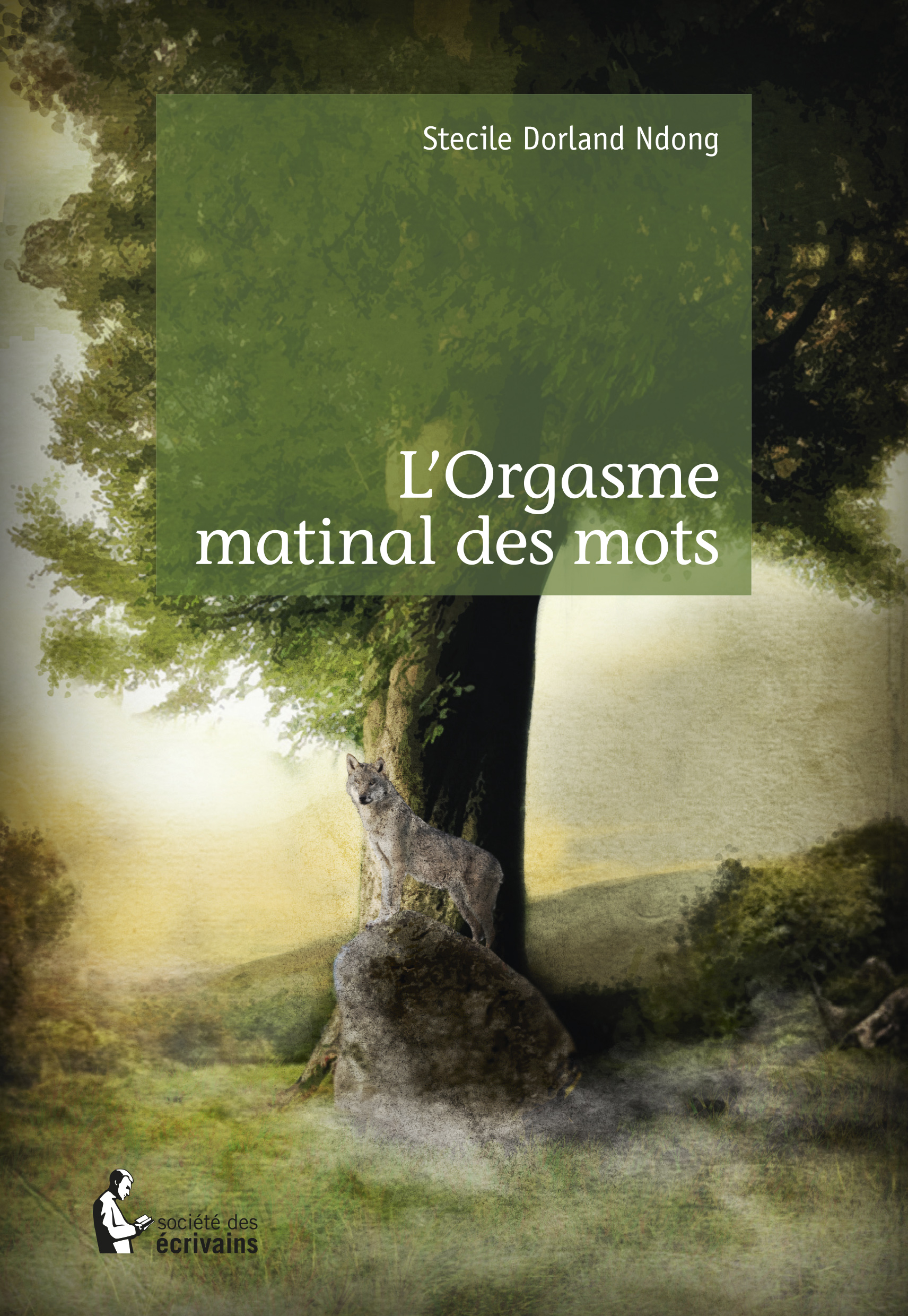Couverture de L'orgasme matinal des mots