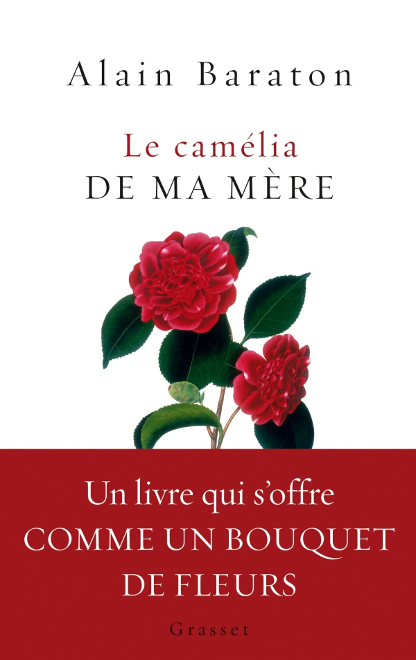 vignette simple