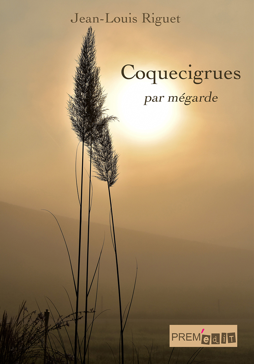 vignette