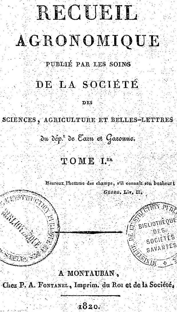 vignette simple