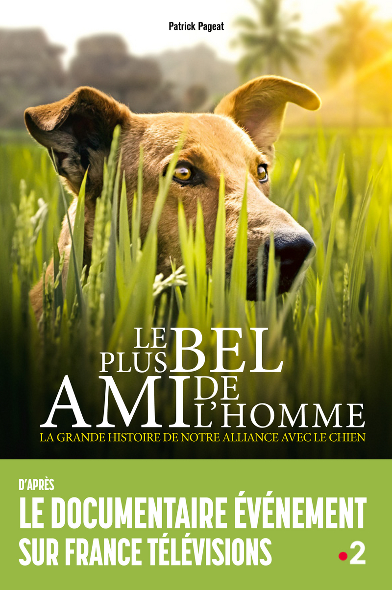 Le Plus Bel Ami De L Homme Notice bibliographique Le plus bel ami de l'homme : la grande histoire