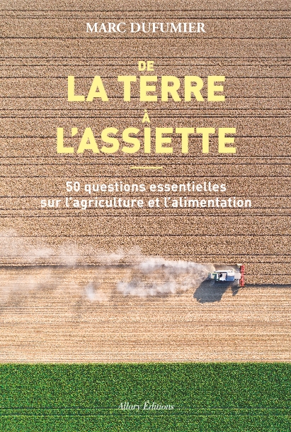 vignette simple
