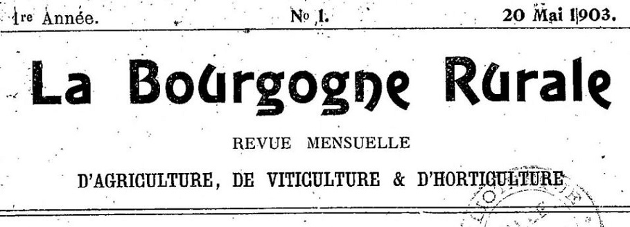 vignette simple