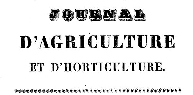 vignette simple