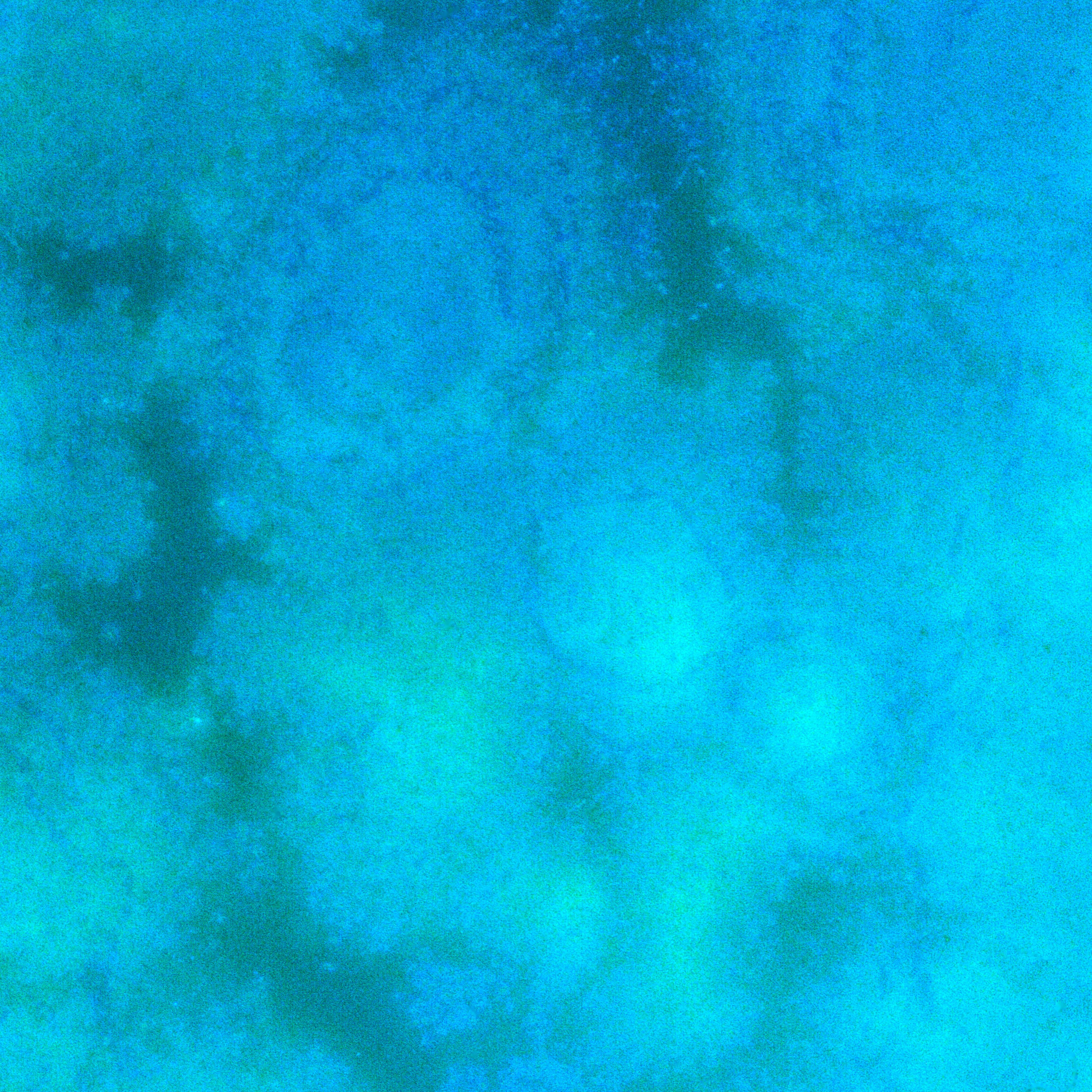 vignette simple